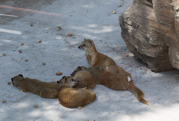 Similar image 21783849