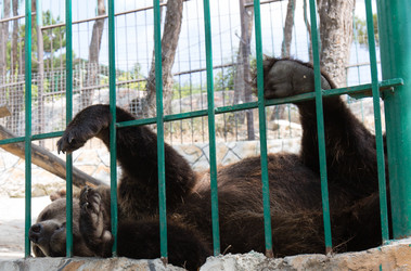 Similar image 21783855