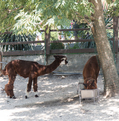 Similar image 21783865