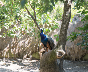 Similar image 21783873