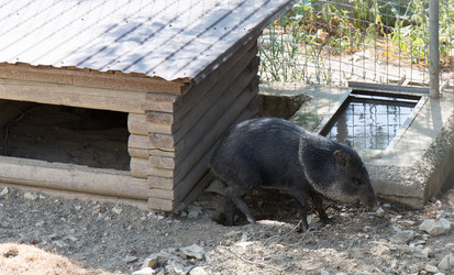 Similar image 21783875