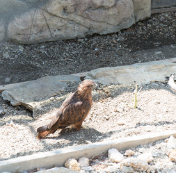 Similar image 21784125