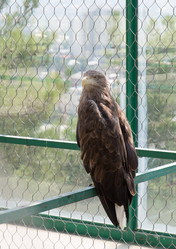 Similar image 21784127