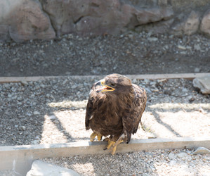 Similar image 21784131