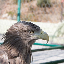 Similar image 21784135