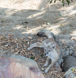 Similar image 21784144