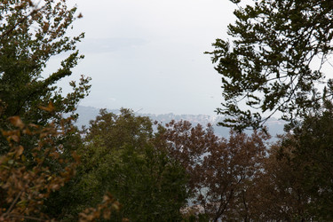 Similar image 21784145