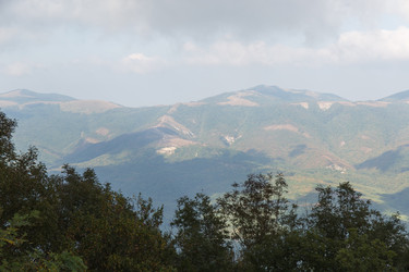 Similar image 21784146