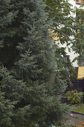 Similar image 21784147