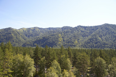 Similar image 21784151