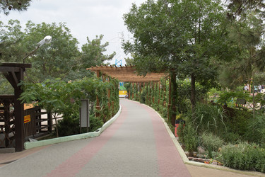 Similar image 21784152