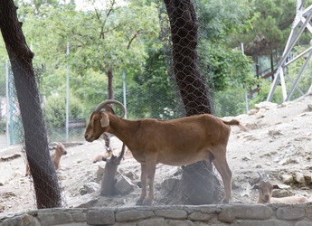 Similar image 21784153