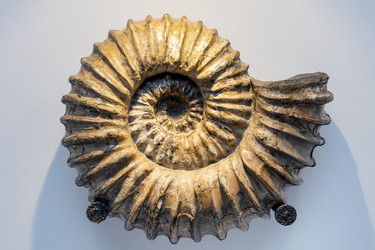 Similar image 21783615