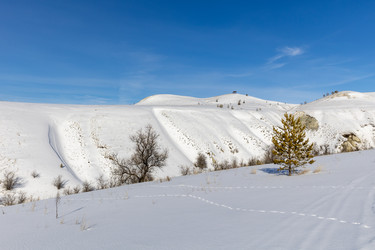 Similar image 21783631