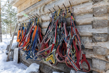 Similar image 21783633