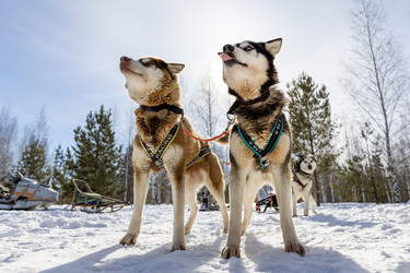 Similar image 21783634