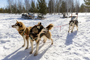 Similar image 21783637