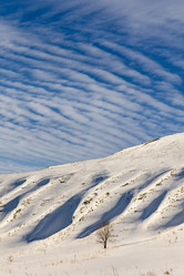 Similar image 21783639