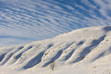 Similar image 21783641