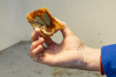 Similar image 21783650