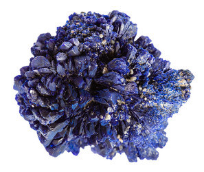 Similar image 21783884