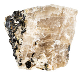 Similar image 21782996