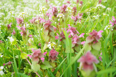 Similar image 21782031