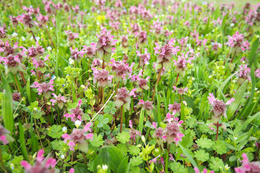 Similar image 21782032