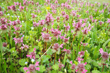 Similar image 21782033