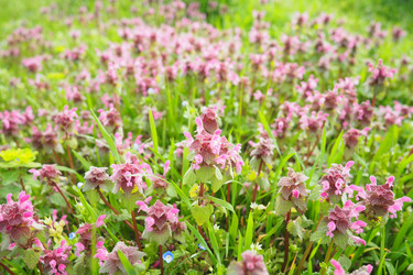 Similar image 21782034