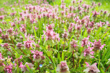 Similar image 21782035