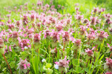 Similar image 21782036