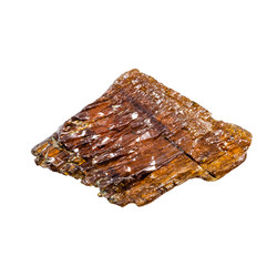 Similar image 21783927