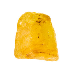 Similar image 21783100