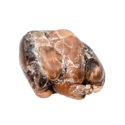 Similar image 21783119