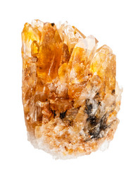 Similar image 21783212