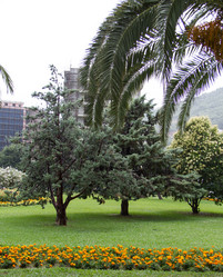 Similar image 21784169