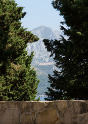 Similar image 21784344