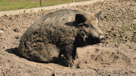 Similar image 21785436