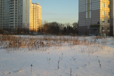 Similar image 21782075