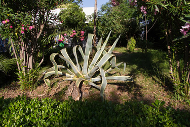 Similar image 21784363