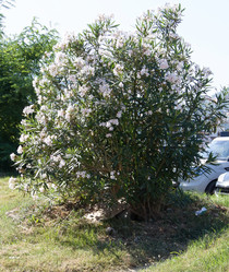 Similar image 21784372