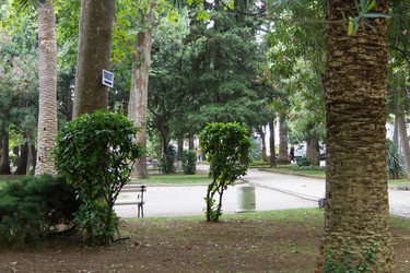 Similar image 21784379