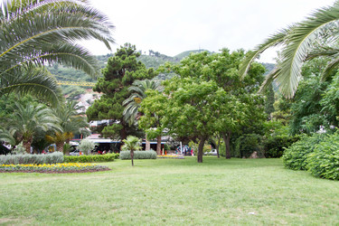 Similar image 21784382