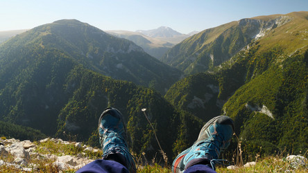 Similar image 21785662