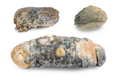 Similar image 21782083