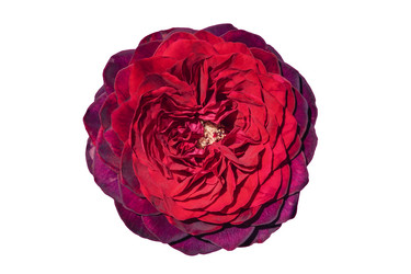 Similar image 21782084