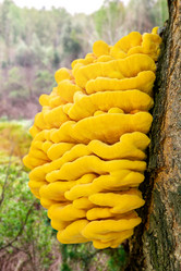 Similar image 21784793