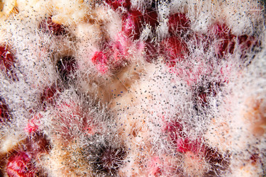 Similar image 21782094