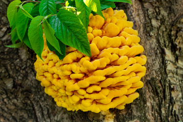 Similar image 21782095